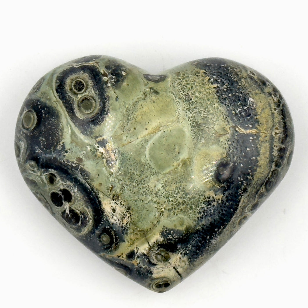 Kambaba Jasper (Crocodile Jasper)