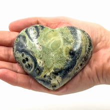 Kambaba Jasper (Crocodile Jasper) in Hand